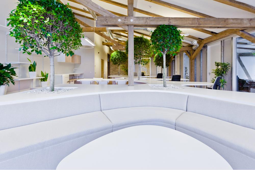 Greenhouse 辦公室裝修設(shè)計(jì)-第2張圖片-上海古都建筑設(shè)計(jì)集團(tuán) Greenhouse 辦公室裝修設(shè)計(jì)-第2張圖片-上海古都建筑設(shè)計(jì)集團(tuán)