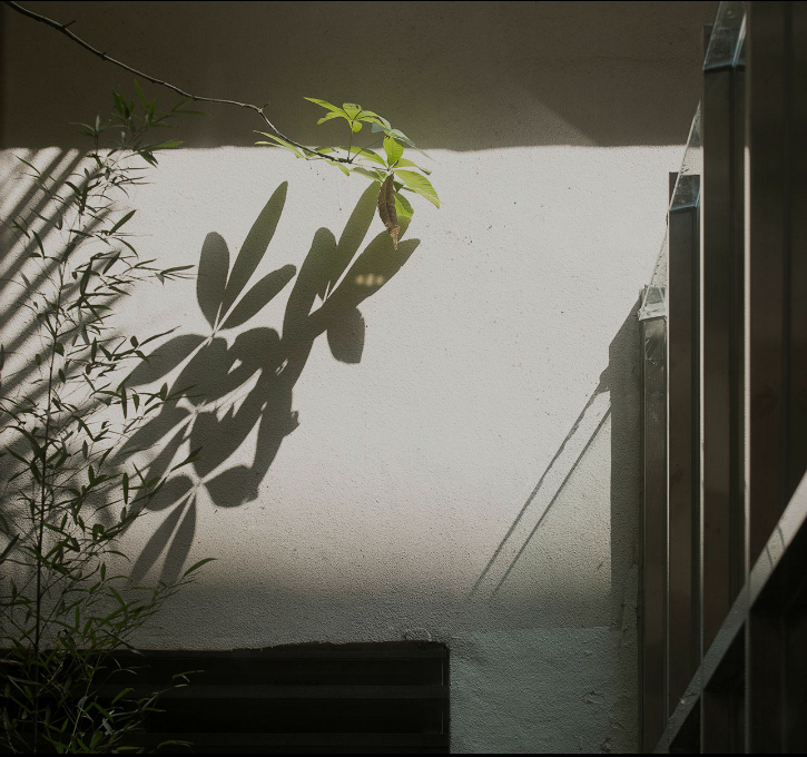 山景風(fēng)格辦公室裝修效果圖-第10張圖片-上海古都建筑設(shè)計(jì)集團(tuán) 山景風(fēng)格辦公室裝修效果圖-第10張圖片-上海古都建筑設(shè)計(jì)集團(tuán)