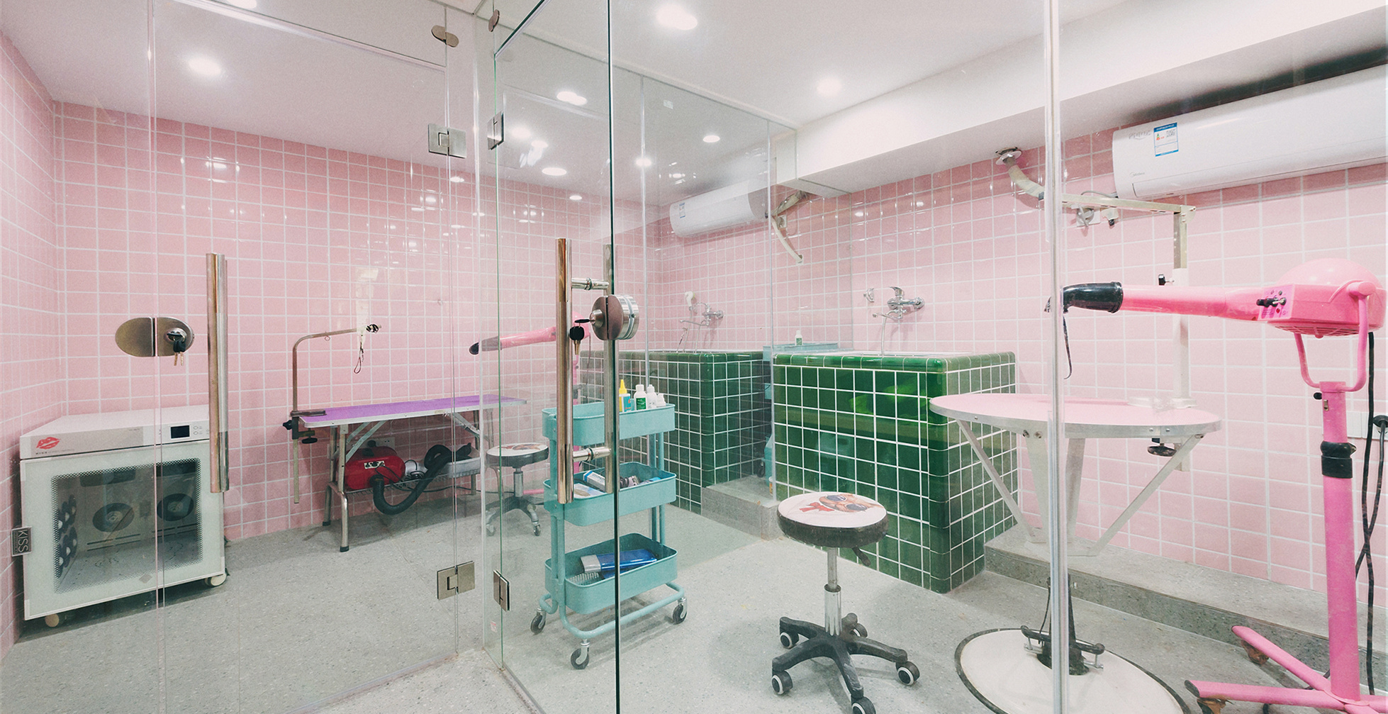 青浦區(qū)小清新寵物店裝修設計-第4張圖片-上海古都建筑設計集團 青浦區(qū)小清新寵物店裝修設計-第4張圖片-上海古都建筑設計集團